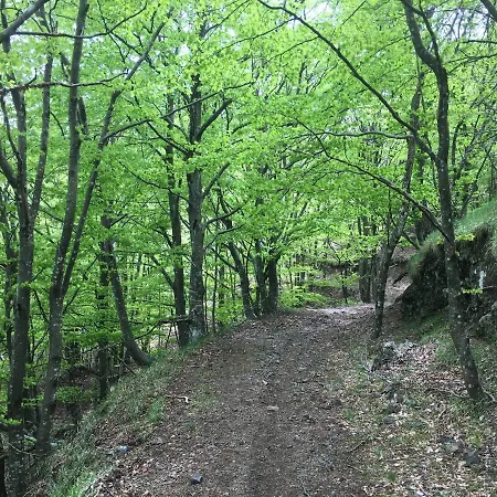 U Muin Dà Gattea Varese Ligure